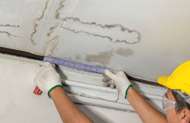 Reliable Sewage Cleanup contractor in Yettem, CA by Hirex Water Damage